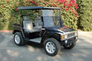 affordable golf cart rental, golf cart rent cape coral, cart rental cape coral